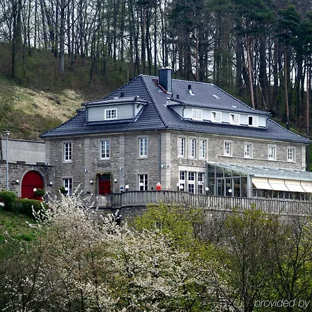 Berghotel Eisenach מלון אייזנבאך